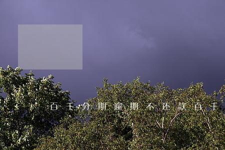百千分期逾期不还款(百千分期倒闭了吗)
