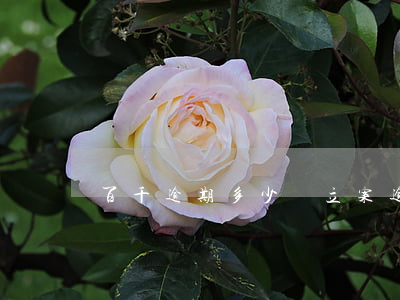 百千逾期多少錢立案(逾期一千多會立案嗎)