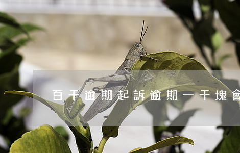 百千逾期起訴(逾期一千塊會不會起訴)