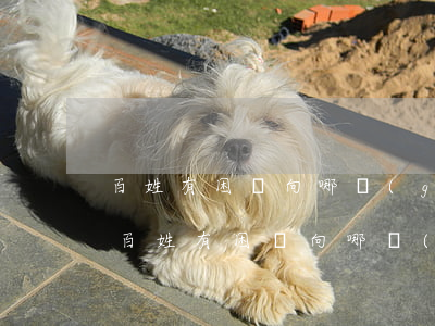 百姓有困難向哪個(gè)媒體求助(石家莊百姓有困難向哪個(gè)媒體求助)