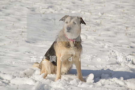 百姓調(diào)解可靠嗎