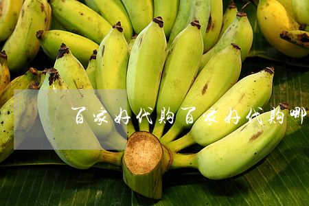 百家好代购(百家好代购哪个是真的)
