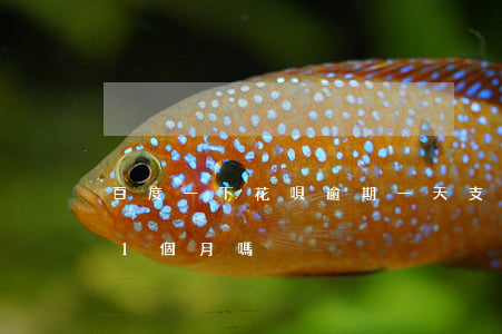 百度一下花唄逾期一天(支付寶花唄可以逾期1個月嗎)