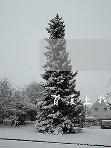 百度上找的律師靠譜嗎(怎么能找到靠譜的律師)