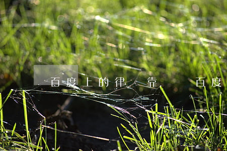 百度上的律師靠譜嗎(百度在線咨詢的律師靠譜嗎)