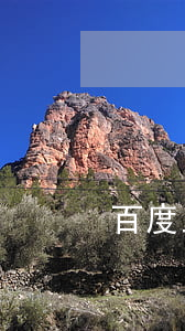 百度上面的律师可靠吗