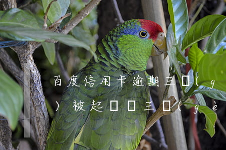 百度信用卡逾期三個(gè)月會(huì)被起訴嗎(三個(gè)月信用卡逾期后果)