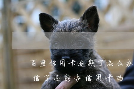 百度信用卡逾期了怎么办(百度钱包逾期上征信了还能办信用卡吗)