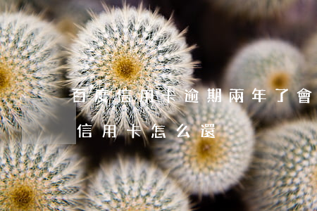 百度信用卡逾期兩年了會怎么樣 逾期兩年的信用卡怎么還