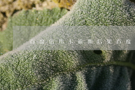 百度信用卡逾期后果(百度信用卡逾期后果怎么樣)
