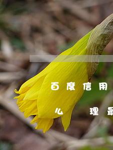 百度信用卡逾期怎么處理 百度信用卡逾期怎么處理最快