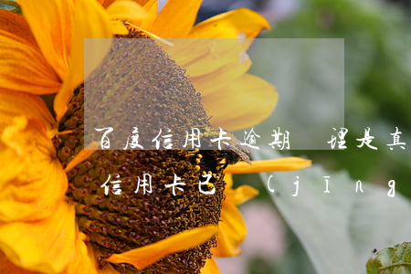 百度信用卡逾期處理是真的嗎 我欠2000信用卡,已經(jīng)逾期3個月了