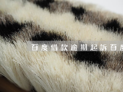 百度借款逾期起訴(百度借款逾期起訴)