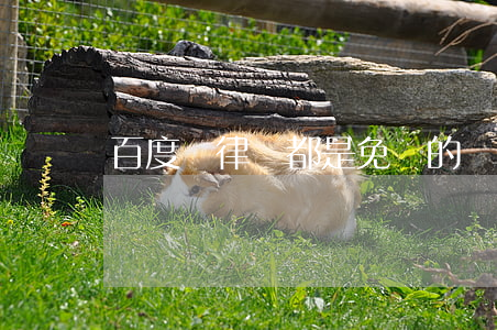 百度問律師都是免費的嗎(百度在線律師可靠嗎)
