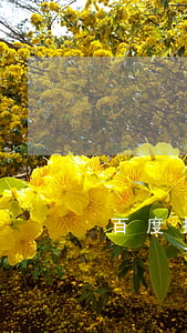 百度找律師有用嗎(在百度上找律師可靠嗎)