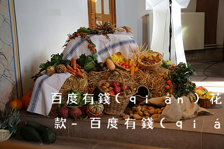 百度有錢(qián)花分期后還能部分還款-百度有錢(qián)花分期后還能部分還款嗎