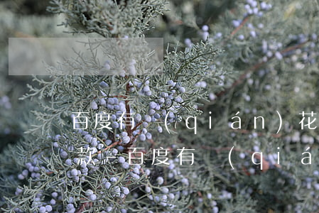 百度有錢(qián)花教育分期后怎么還款-百度有錢(qián)花教育分期怎么好通過(guò)些