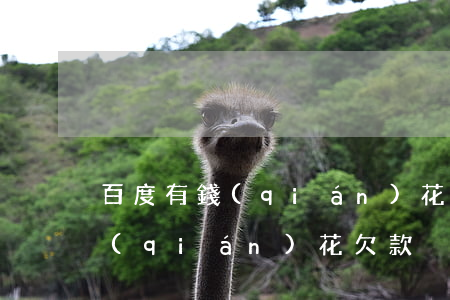 百度有錢(qián)花欠幾千元(百度有錢(qián)花欠款)
