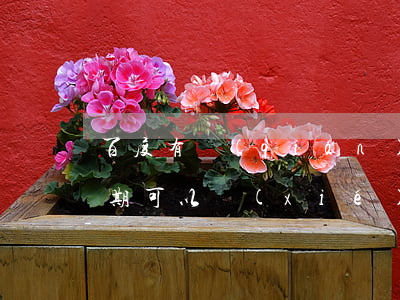 百度有錢(qián)花沒(méi)有逾期可以協(xié)商還款嗎-百度有錢(qián)花沒(méi)有逾期可以協(xié)商還款嗎