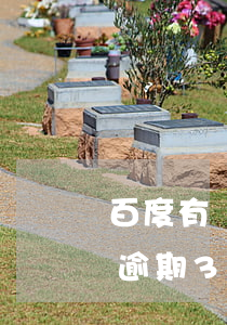 百度有錢花3000逾期一年多（百度有錢花逾期3年3萬(wàn)）