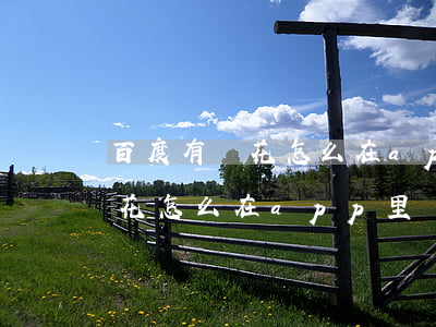 百度有錢花怎么在app里還款-百度有錢花怎么在app里還款啊