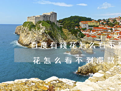 百度有錢花怎么看不到還款記錄-百度有錢花怎么看不到還款記錄了