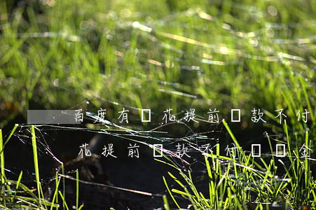 百度有錢花提前還款不付違約金-百度有錢花提前還款不付違約金怎么辦