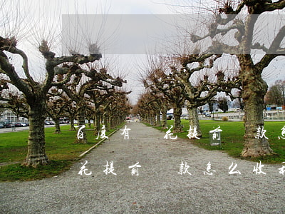 百度有錢花提前還款怎么收利息-百度有錢花提前還款怎么收利息的