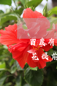 百度有錢花提前還款有什么影響-百度有錢花提前還款有什么影響嗎