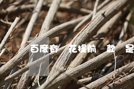 百度有錢花提前還款還是一次性-