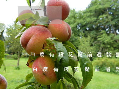 百度有錢花提前還款額度會恢復(fù)-百度有錢花提前還款額度會恢復(fù)嗎