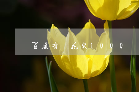 百度有錢花欠1000沒還(百度有錢花欠款)