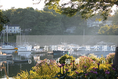 百度有錢花欠2萬不還后果(欠百度有錢花20000確實(shí)還不上怎么辦)