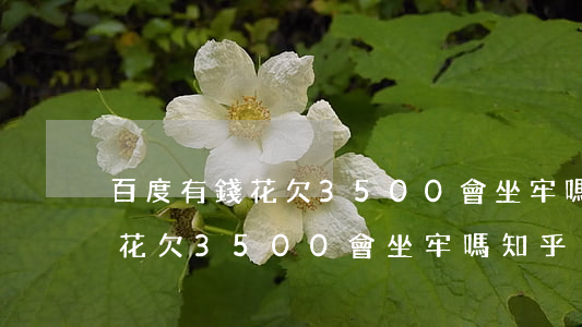 百度有錢花欠3500會坐牢嗎-百度有錢花欠3500會坐牢嗎知乎