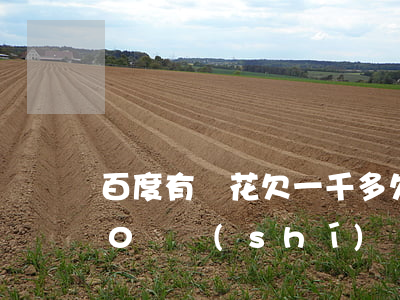 百度有錢花欠一千多(欠百度有錢花20000確實(shí)還不上怎么辦)
