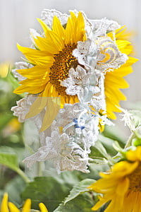 百度有錢花欠了還不上(百度有錢花欠了還不上)