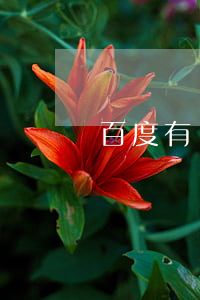 百度有錢花法院逾期(百度有錢花逾期會起訴嗎)