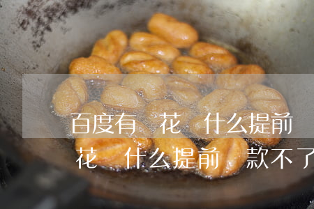 百度有錢花為什么提前還款不了-百度有錢花為什么提前還款不了呢