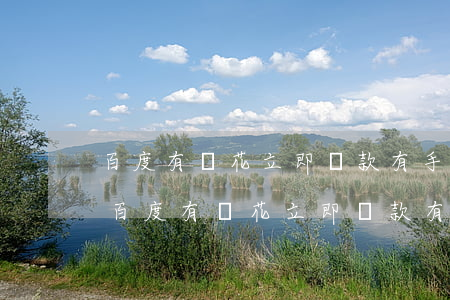 百度有錢花立即還款有手續(xù)費么-百度有錢花立即還款有手續(xù)費么嗎