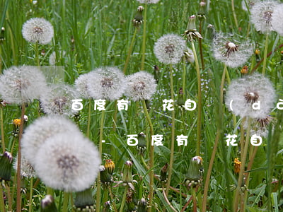 百度有錢花自動(dòng)還款短信提醒嗎-百度有錢花自動(dòng)還款短信提醒嗎安全嗎