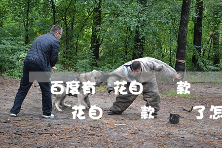 百度有錢花自動還款沒錢了怎么辦-百度有錢花自動還款沒錢了怎么辦呢