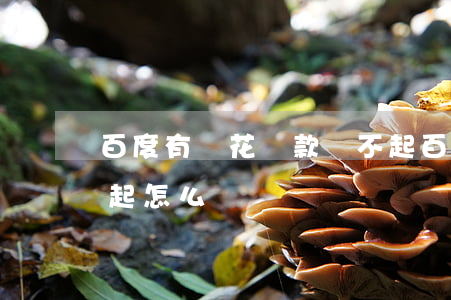 百度有錢花貸款還不起(百度有錢花貸款還不起怎么辦)