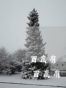 百度有錢花貸款還款有服務(wù)費嗎-百度有錢花貸款還款有服務(wù)費嗎安全嗎