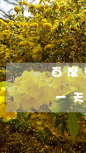 百度有錢花逾期1000元(百度有錢花逾期一天會(huì)怎么樣逾期一個(gè)月)