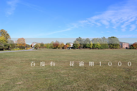 百度有錢花逾期1000天