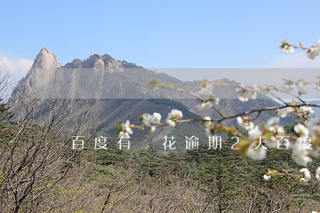 百度有錢花 逾期2天(百度有錢花 逾期2天)