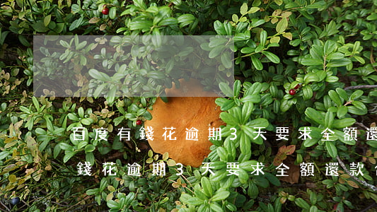 百度有錢花逾期3天要求全額還款-百度有錢花逾期3天要求全額還款合法嗎