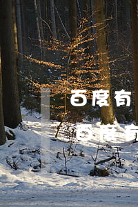 百度有錢花逾期四個(gè)月有違約金嗎（百度有錢花逾期三個(gè)月說要起訴）