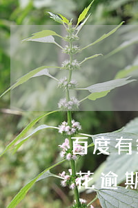 百度有錢花逾期多久可以打電話-百度有錢花逾期多久可以打電話給家人