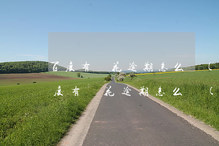 百度有錢花逾期怎么協(xié)商還款(百度有錢花逾期怎么協(xié)商還款)